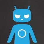 Androcer Photo