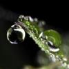 [ROM] WCS StockRomLite [ICS... - last post by wildfear