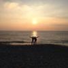 Questions sur le Sony V - last post by FrenchWay