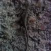 Zte link bloker ecran bougygues - last post by chris45130