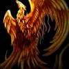 phenix.detry