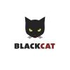 BlackcatXIII