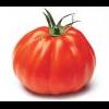 tomate2k8